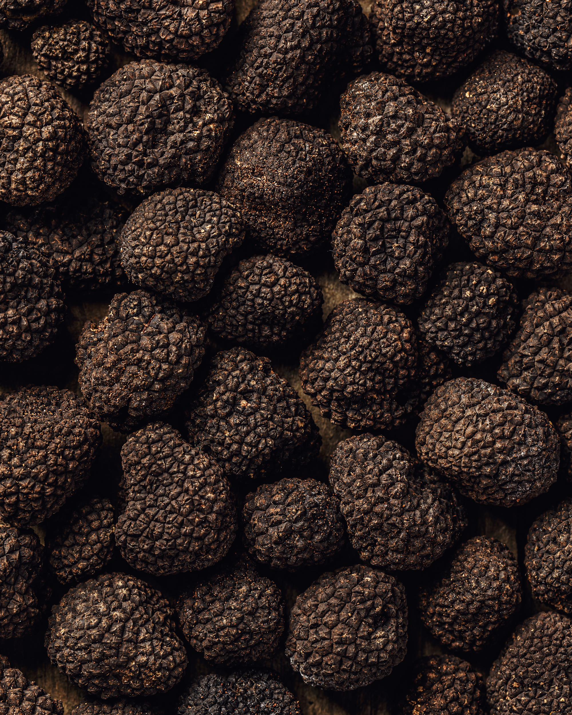 Scaglie di Tartufo Nero